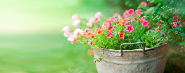 Garden loan - KBC Banking & Insurance