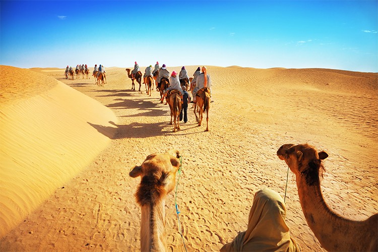 Assurance assistance voyage: tour du monde
