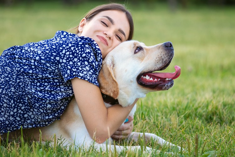 Hond verzekeren Je hond verzekeren of niet waarom het loont