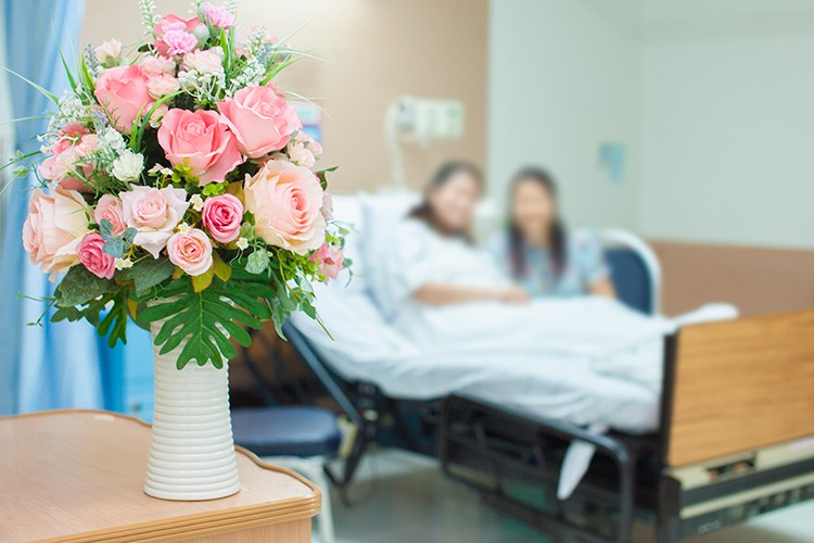 Hospitalisation Insurance