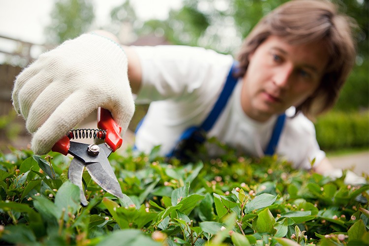 Tuin Brandverzekering Tuin