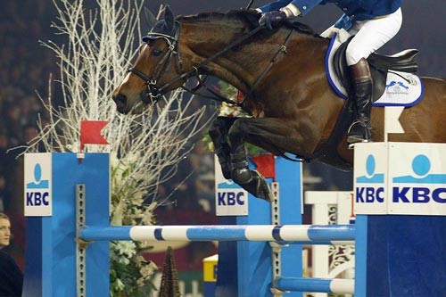 Vlaanderens Kerstjumping Mechelen Vlaanderens Kerstjumping Mechelen